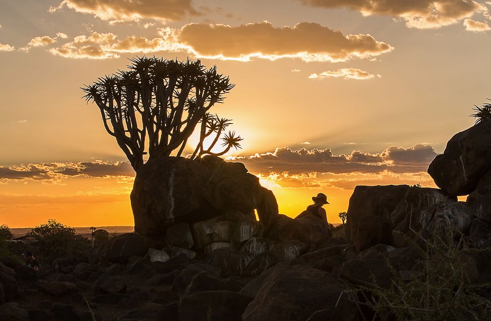 Wenn Zwei eine Reise .../0036 Namibia - sundown in den Köcherbäumen