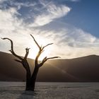 Wenn Zwei eine Reise .../0041 Namibia - nochmals DeadVlei