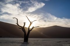 Wenn Zwei eine Reise .../0041 Namibia - nochmals DeadVlei