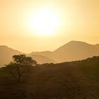Wenn Zwei eine Reise .../0042 Namibia - sundown in der Wüste