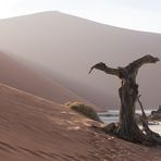 Wenn Zwei eine Reise .../0045 Namibia - Licht und Schatten imDeadVlei