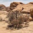 Wenn Zwei eine Reise... / 017 Namibia - Spitzkoppe