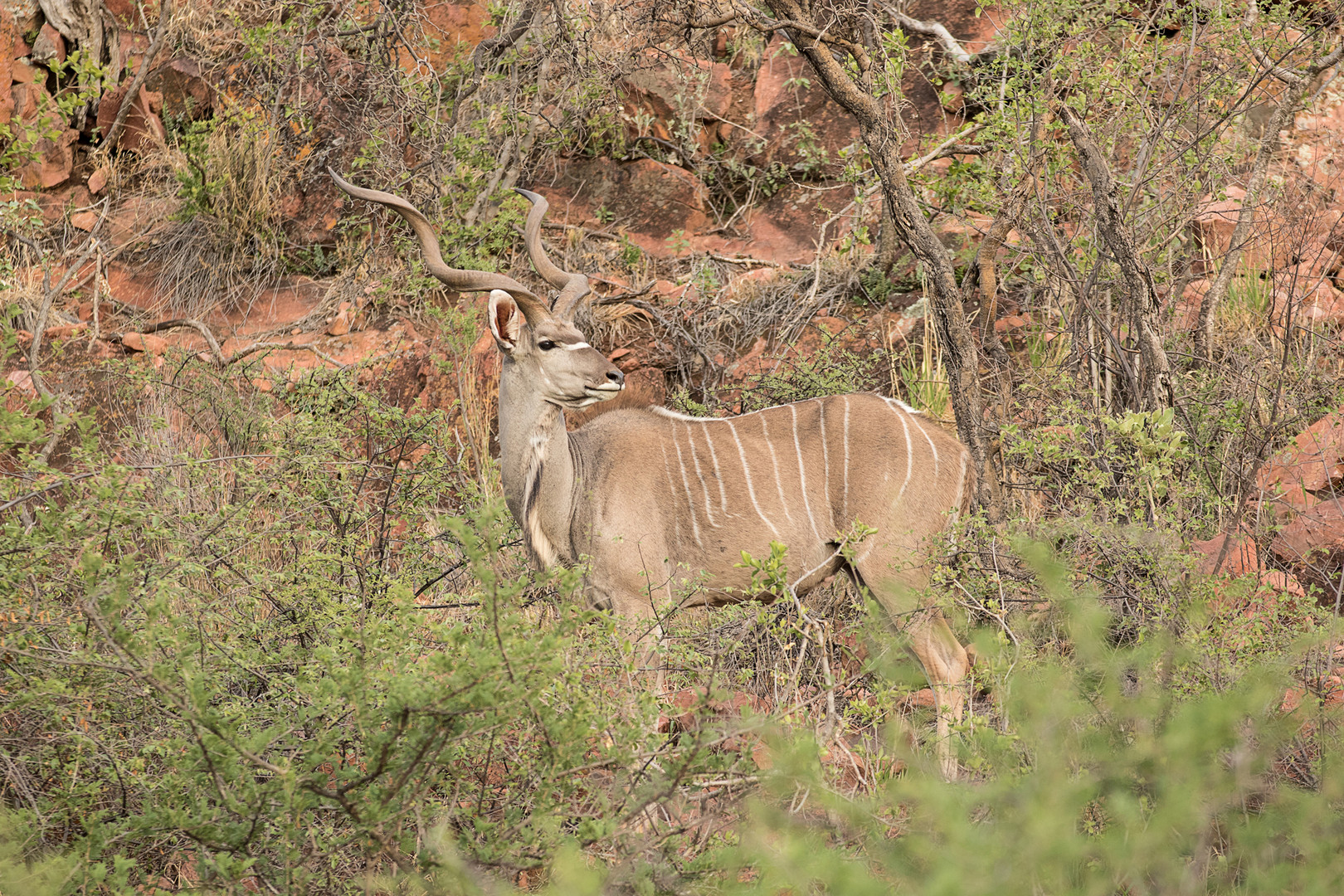 Wenn Zwei eine Reise..... /Namibia 001