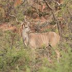 Wenn Zwei eine Reise..... /Namibia 001