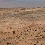 Wenn Zwei eine Reise.../0049 Namibia - im Diamantensperrgebiet