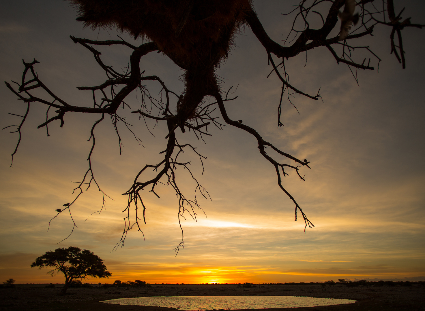 Wenn Zwei eine Reise.../009 Namibia - Sundown am Wasserloch