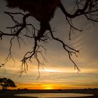 Wenn Zwei eine Reise.../009 Namibia - Sundown am Wasserloch