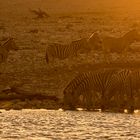 Wenn Zwei eine Reise.../010 Namibia - sundown am Wasserloch mit Zebras