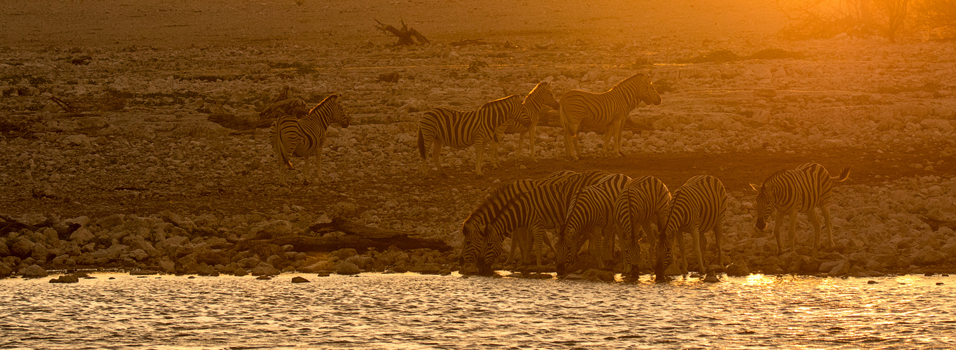 Wenn Zwei eine Reise.../010 Namibia - sundown am Wasserloch mit Zebras