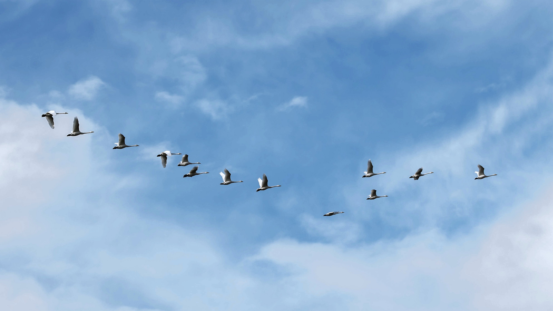 Wenn's am Himmel pfeift...