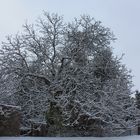 wenns draußen schneit, ist Heilig Abend nicht mehr weit