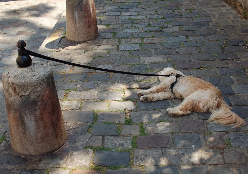 Wenns mal wieder etwas länger dauert