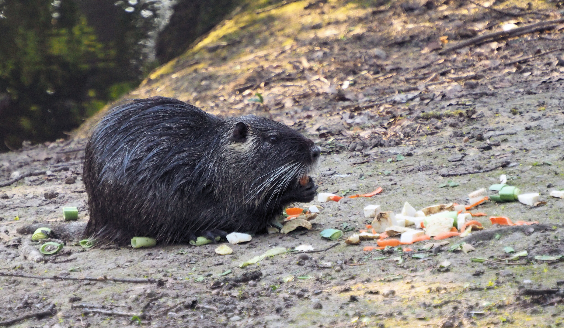 Wenn’s schmeckt dann schmeckts ...