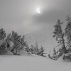 Wenns schneibt am Schneibstein