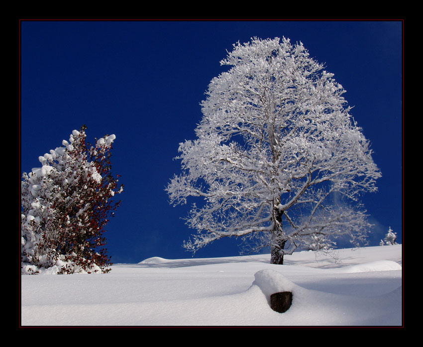 wenns so weiter geht, wirds bald Winter...