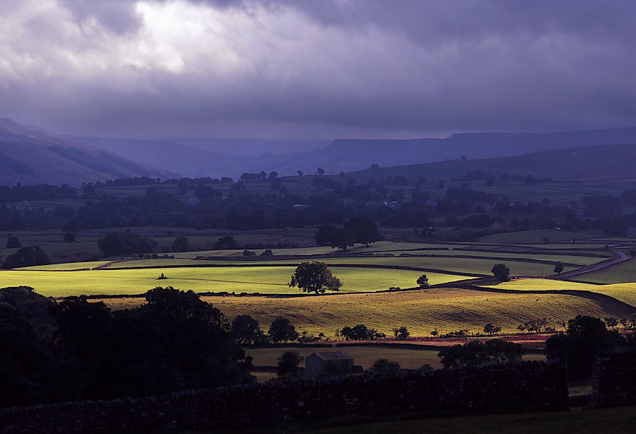 Wensleydale