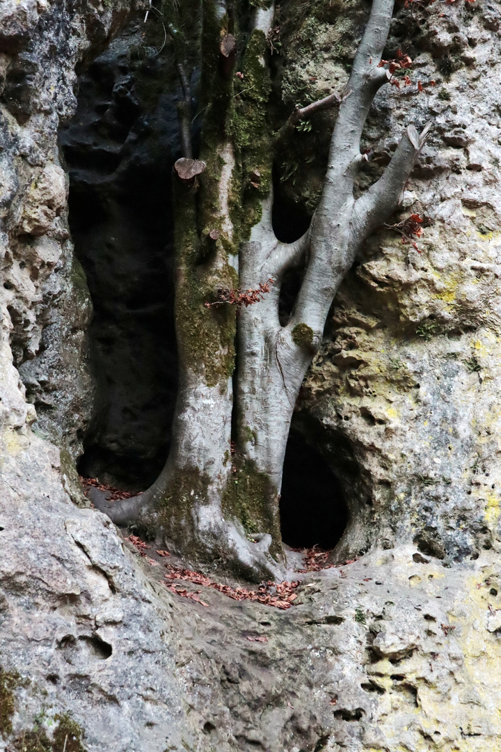 Wental - Höhle