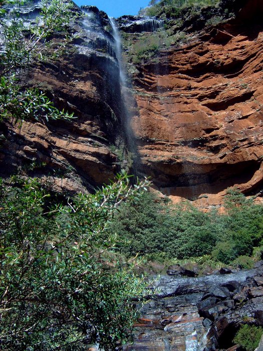 Wentworth Falls in den Blue Mountains