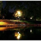 Wentworth Park at Night