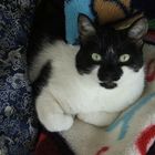 User Profile Photo