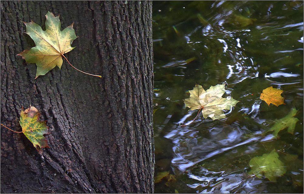 Wer Angst vor dem Wasser hat ...