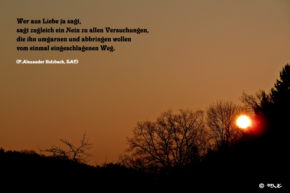 Wer aus Liebe.....