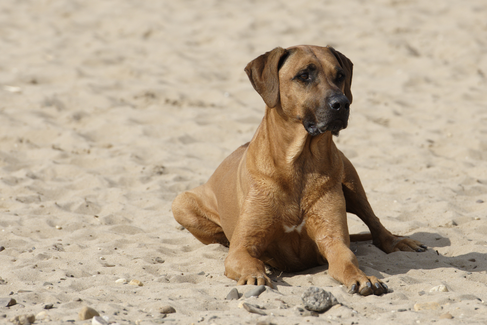 wer betritt meinen Strand