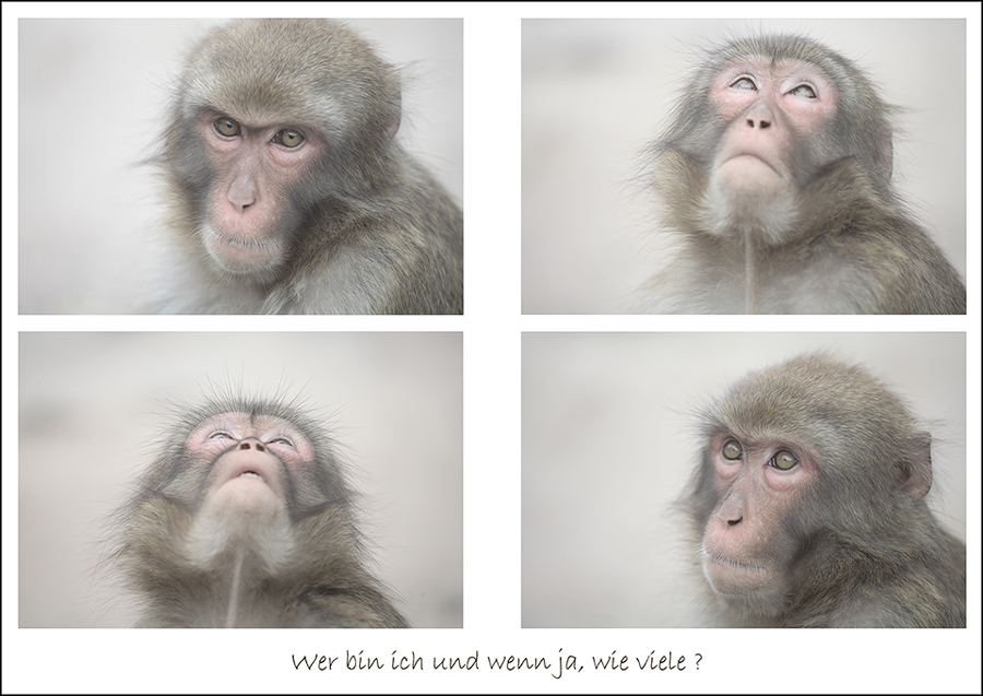 Wer bin ich und wenn ja wie viele foto bild weltanschauung