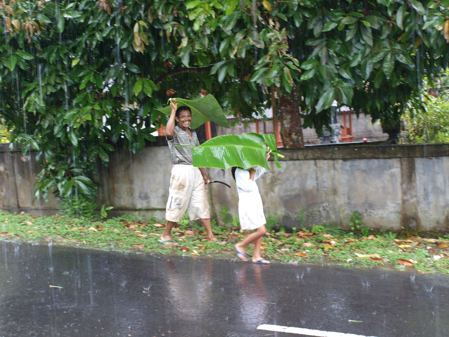 Wer braucht einen Regenschirm