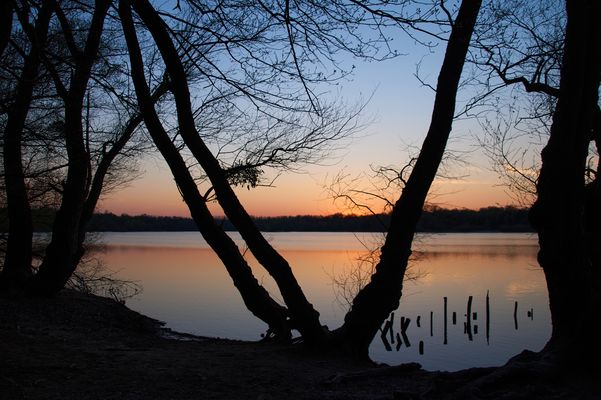 Wer braucht schon Palmen