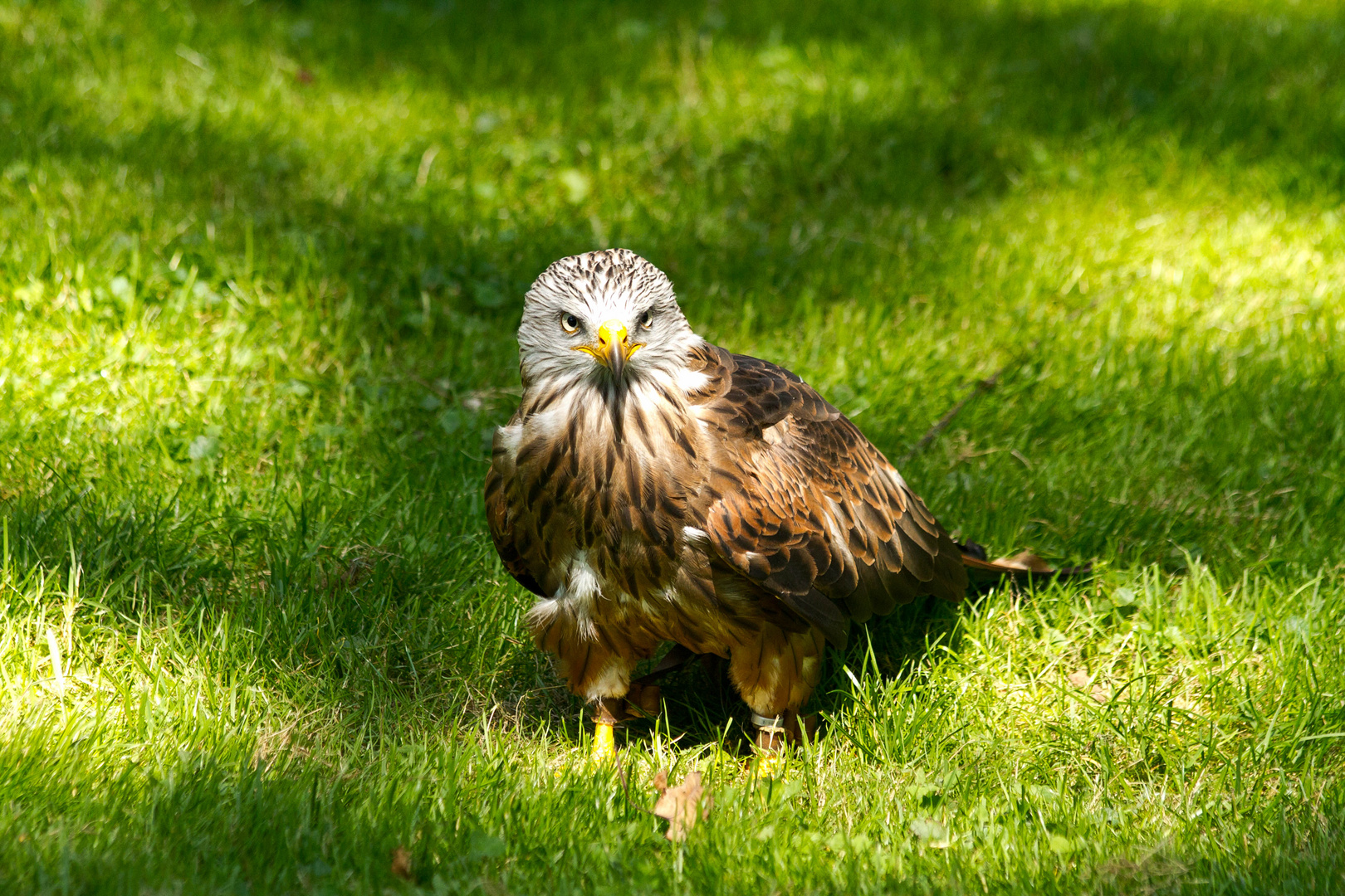 Wer darf heute fliegen? Man wartet aufgeregt!!