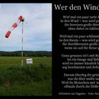 Wer den Wind sät