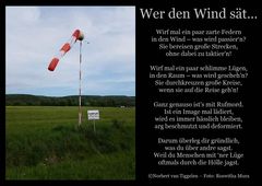 Wer den Wind sät