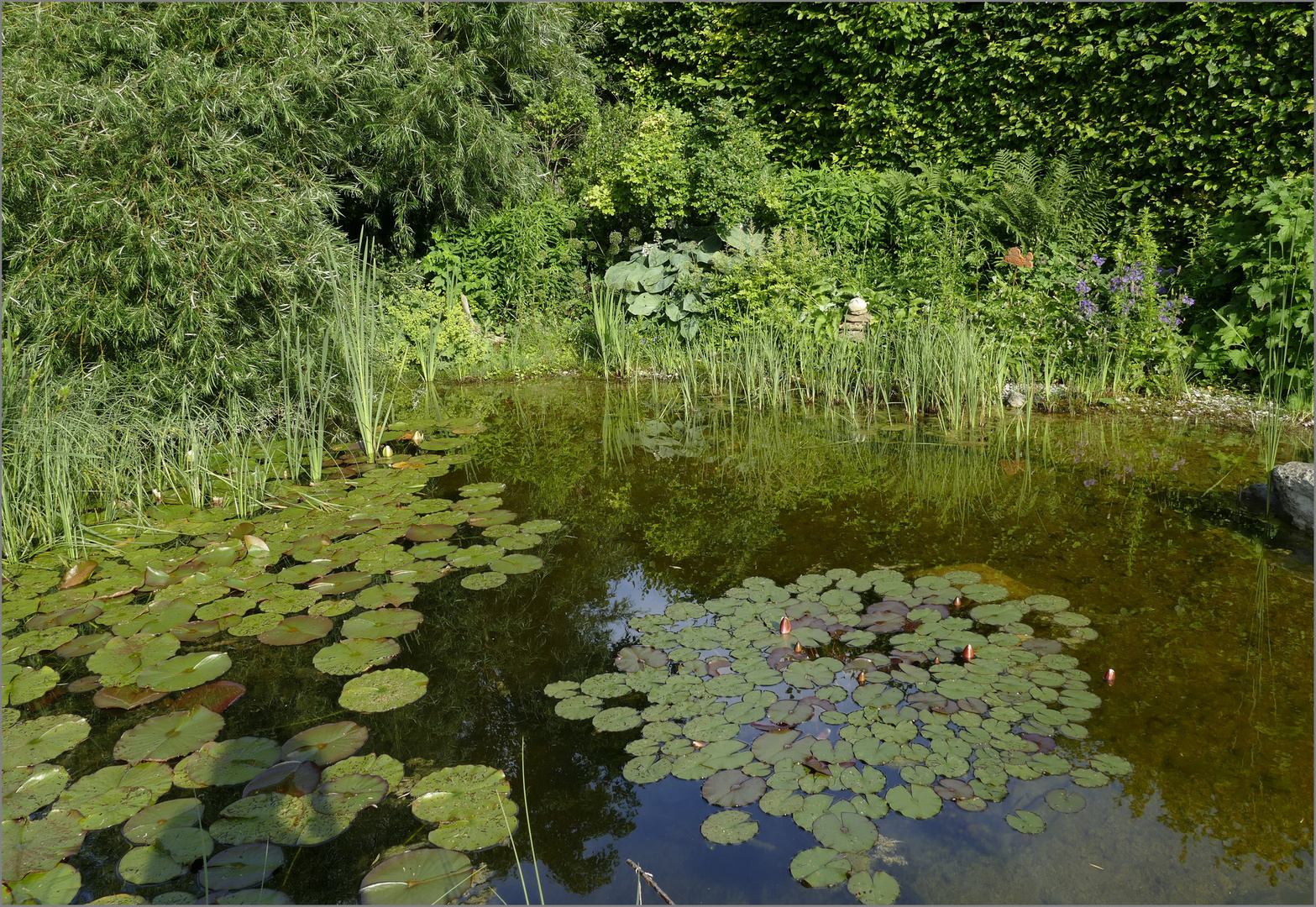 Wer einen Garten hat....