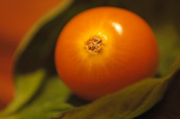 Wer erkennt das kleine runde Ding und