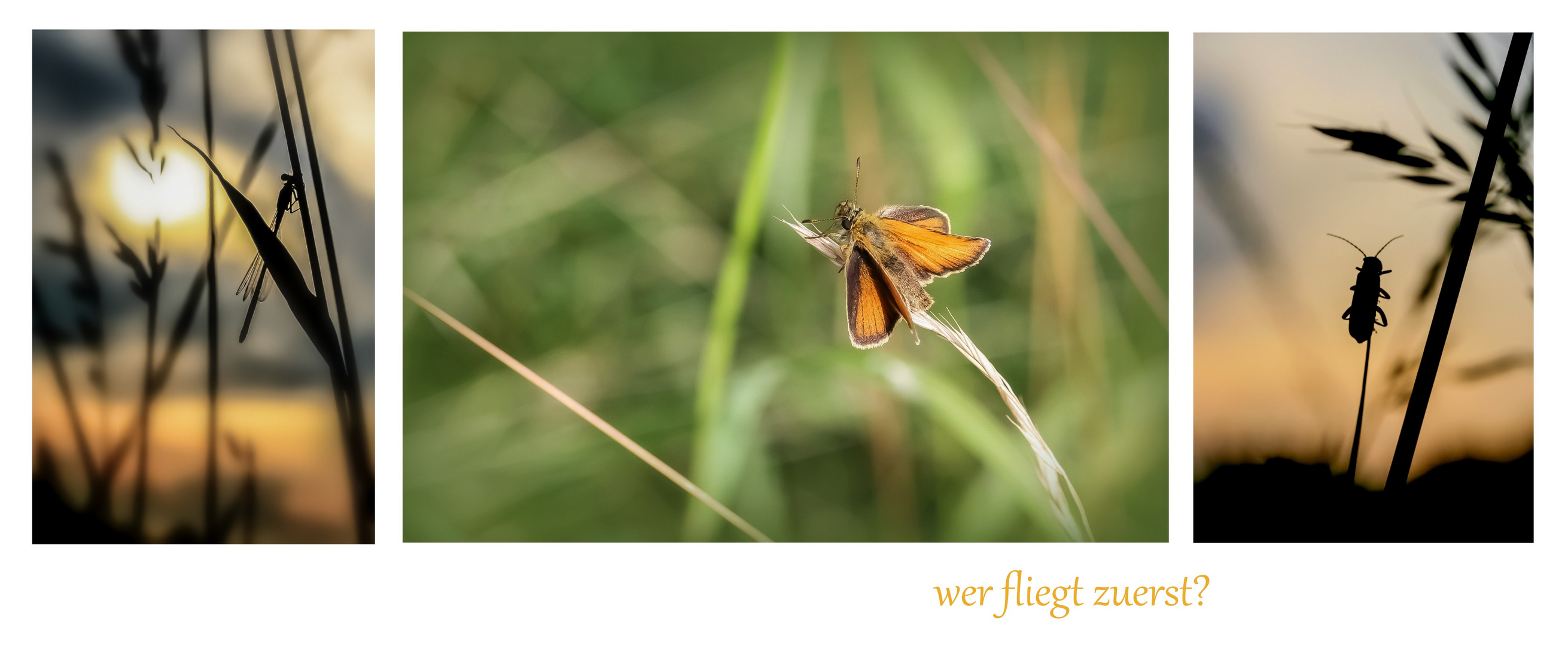 Wer fliegt zuerst?