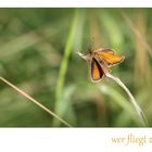 Wer fliegt zuerst?