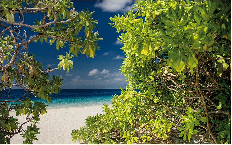 wer geht denn jetzt mit zum Strand ?