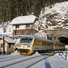 Wer guckt denn da aus dem Tunnel raus?