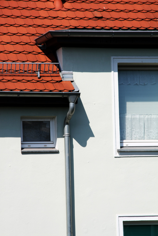 wer guckt denn da ins fenster rein ?