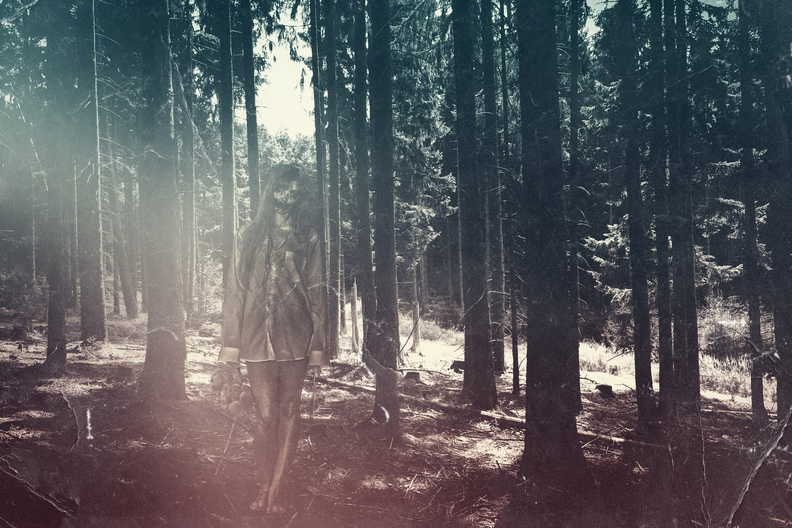 wer hat Angst allein im Wald?