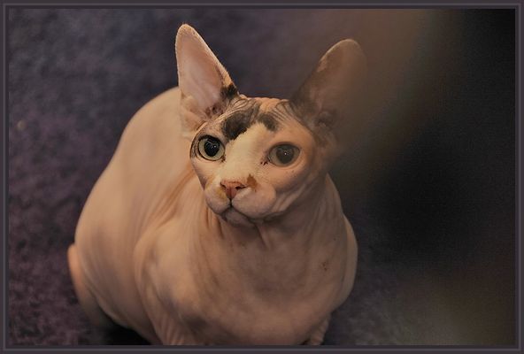 ...wer hat da was von Leckerchen gesagt ??