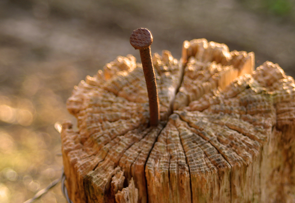 Wer hat das Holz genagelt??