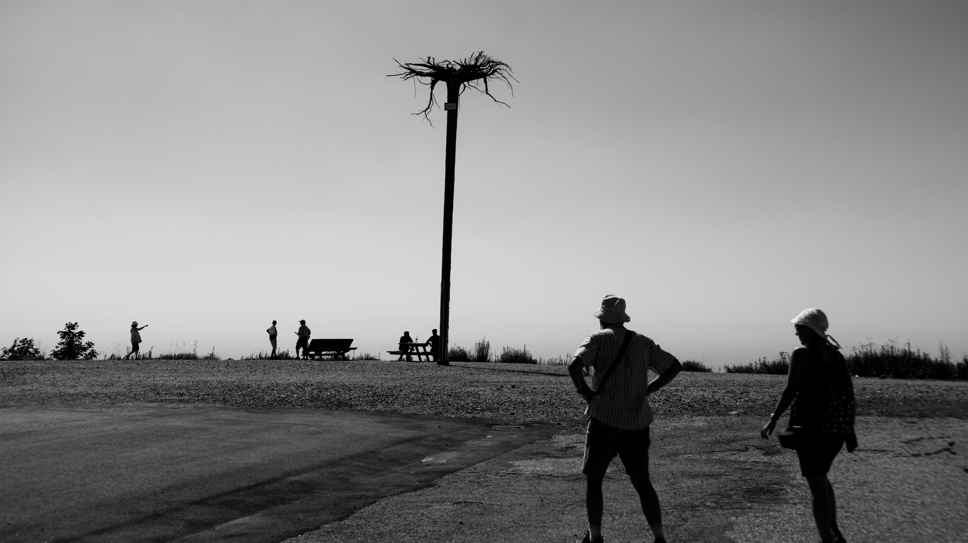 Wer hat den Baum umgedreht?