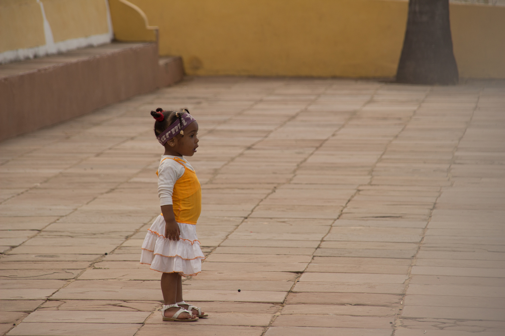 Wer hat die Kokosnuss geklaut?! - Trinidad de Cuba