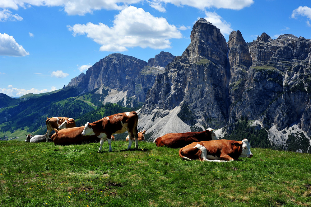 Wer hat die schönste Aussicht