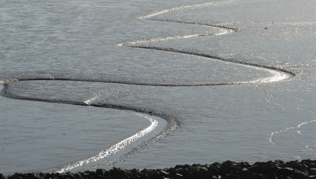 Wer hat gesagt, das Wattenmeer wäre langweilig?