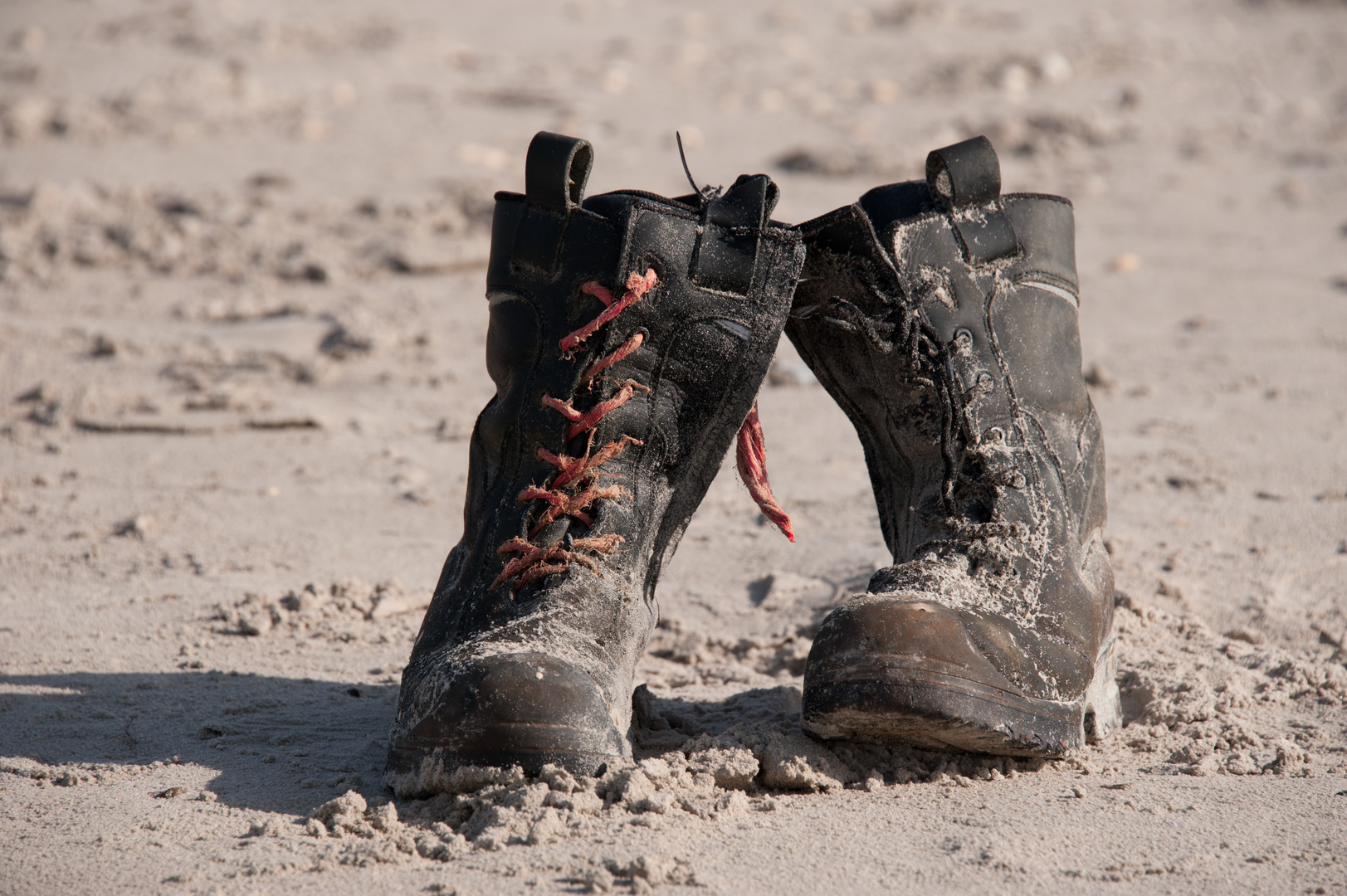 Wer hat seine Stiefel am Strand vergessen?