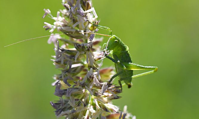 Wer hoch hinaus will, muss sich anstrengen ...