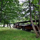 Wer im Britzer Garten vom Wandern ermüdet ist,